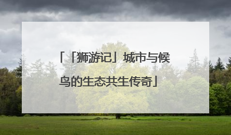 「狮游记」城市与候鸟的生态共生传奇