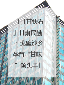 「甘快看」甘肃民勤：戈壁沙乡孕育“甘味”领头羊