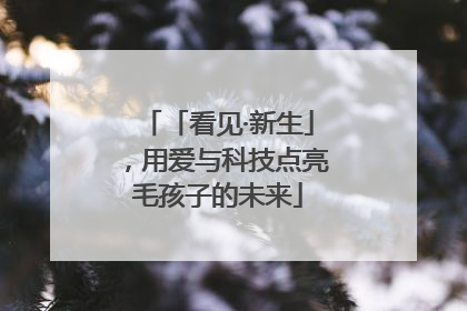 「看见·新生」，用爱与科技点亮毛孩子的未来