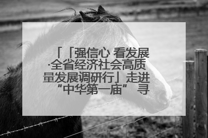「强信心 看发展·全省经济社会高质量发展调研行」走进“中华第一庙” 寻根伏羲 祭祖龙城