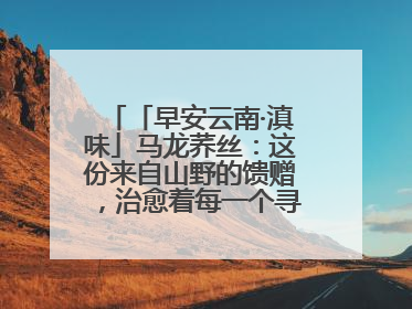 「早安云南·滇味」马龙荞丝：这份来自山野的馈赠，治愈着每一个寻味的游人