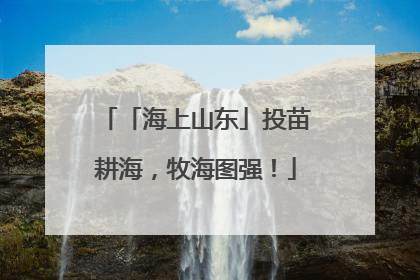「海上山东」投苗耕海，牧海图强！