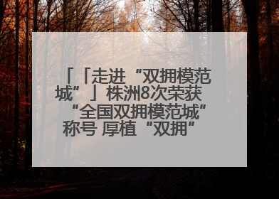 「走进“双拥模范城”」株洲8次荣获“全国双拥模范城”称号 厚植“双拥”沃土谱新篇