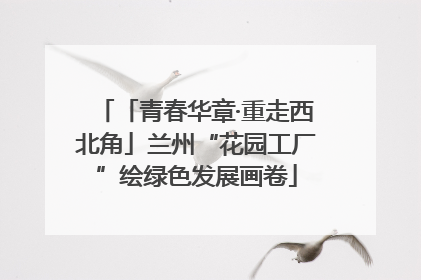 「青春华章·重走西北角」兰州“花园工厂”绘绿色发展画卷