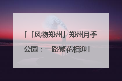 「风物郑州」郑州月季公园：一路繁花相迎