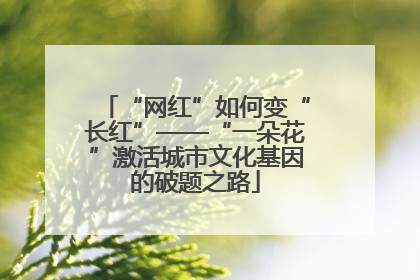 “网红”如何变“长红”——“一朵花”激活城市文化基因的破题之路