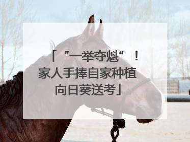“一举夺魁”！家人手捧自家种植向日葵送考