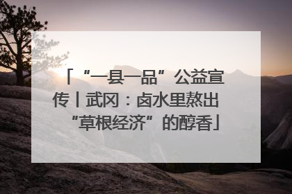 “一县一品”公益宣传丨武冈：卤水里熬出“草根经济”的醇香