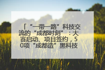 “一带一路”科技交流的“成都时刻”：大赛启动、项目签约，50项“成都造”黑科技吸引多国客商