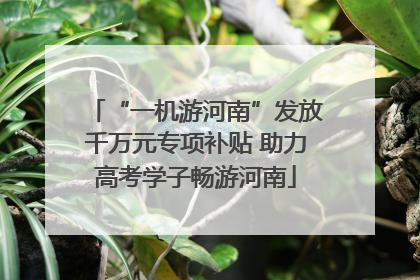 “一机游河南”发放千万元专项补贴 助力高考学子畅游河南
