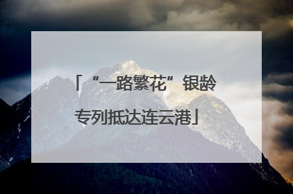 “一路繁花”银龄专列抵达连云港