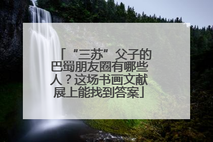 “三苏”父子的巴蜀朋友圈有哪些人？这场书画文献展上能找到答案