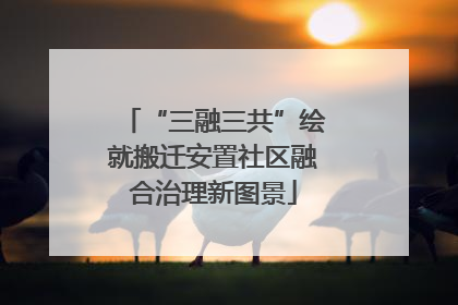 “三融三共”绘就搬迁安置社区融合治理新图景