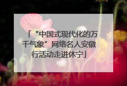 “中国式现代化的万千气象”网络名人安徽行活动走进休宁