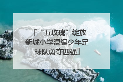 “五玫瑰”绽放 新城小学混编少年足球队勇夺四强