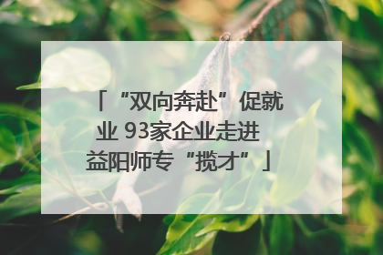 “双向奔赴”促就业 93家企业走进益阳师专“揽才”