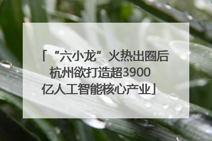 “六小龙”火热出圈后 杭州欲打造超3900亿人工智能核心产业