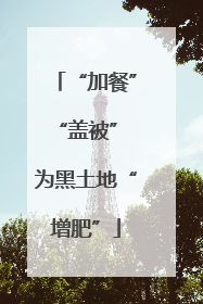 “加餐”“盖被” 为黑土地“增肥”