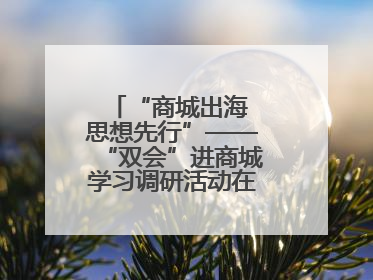 “商城出海 思想先行”——“双会”进商城学习调研活动在临沂顺利开展