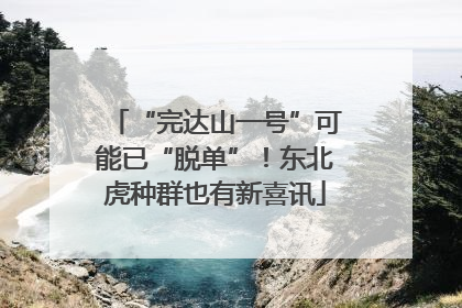 “完达山一号”可能已“脱单”！东北虎种群也有新喜讯