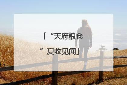 “天府粮仓”夏收见闻