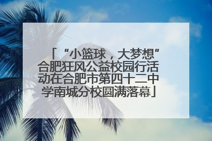“小篮球，大梦想”合肥狂风公益校园行活动在合肥市第四十二中学南城分校圆满落幕