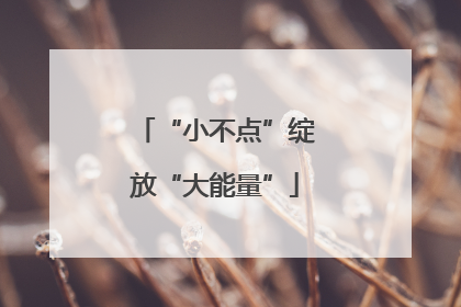 “小不点”绽放“大能量”