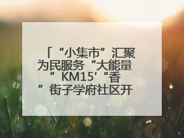 “小集市”汇聚为民服务“大能量”KM15′“香”街子学府社区开集迎端午
