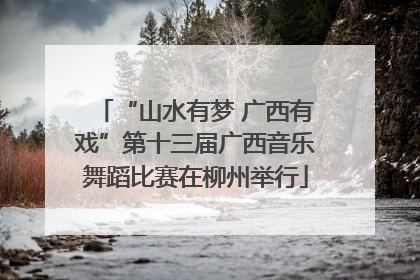 “山水有梦 广西有戏”第十三届广西音乐舞蹈比赛在柳州举行