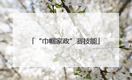 “巾帼家政”赛技能