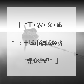 “工+农+文+旅”：丰城市镇域经济“蝶变密码”