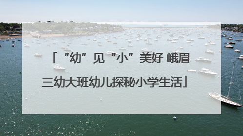 “幼”见“小”美好 峨眉三幼大班幼儿探秘小学生活