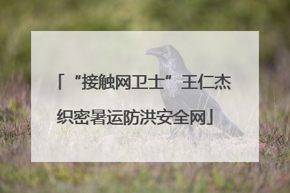 “接触网卫士”王仁杰织密暑运防洪安全网