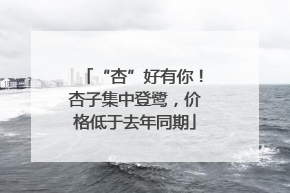 “杏”好有你！杏子集中登鹭，价格低于去年同期