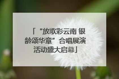 “放歌彩云南 银龄颂华章”合唱展演活动盛大启幕