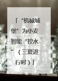 “机械城堡”为小麦智能“控水”（三夏进行时）