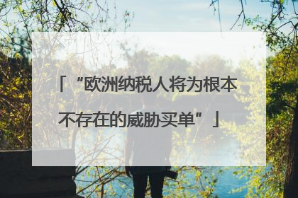 “欧洲纳税人将为根本不存在的威胁买单”