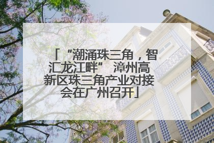 “潮涌珠三角，智汇龙江畔” 漳州高新区珠三角产业对接会在广州召开