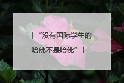 “没有国际学生的哈佛不是哈佛”