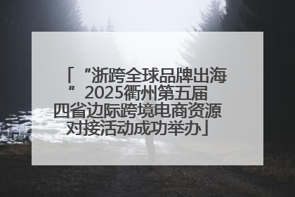 “浙跨全球品牌出海”2025衢州第五届四省边际跨境电商资源对接活动成功举办