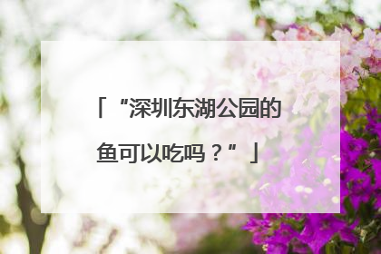 “深圳东湖公园的鱼可以吃吗？”