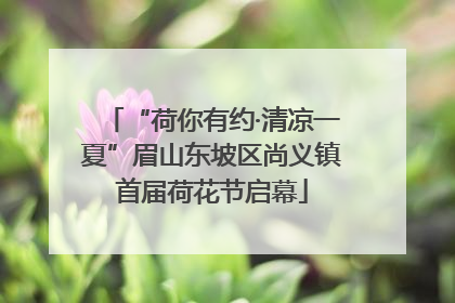 “荷你有约·清凉一夏”眉山东坡区尚义镇首届荷花节启幕