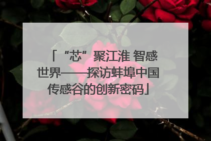 “芯”聚江淮 智感世界——探访蚌埠中国传感谷的创新密码