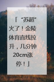 “苏超”火了！金陵体育直线拉升，几分钟20cm涨停！
