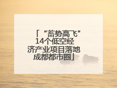 “蓄势高飞” 14个低空经济产业项目落地成都都市圈
