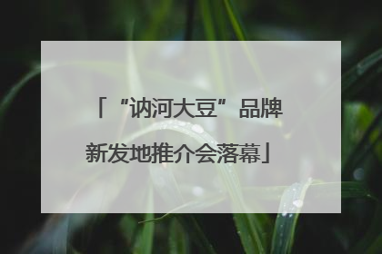 “讷河大豆”品牌新发地推介会落幕