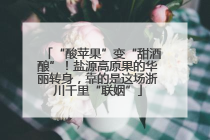 “酸苹果”变“甜酒酿”！盐源高原果的华丽转身，靠的是这场浙川千里“联姻”