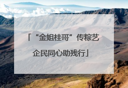 “金姐桂哥”传粽艺 企民同心助残行