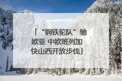 “钢铁驼队”驰欧亚 中欧班列加快山西开放步伐