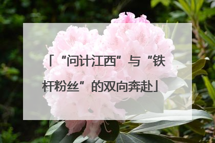 “问计江西”与“铁杆粉丝”的双向奔赴
